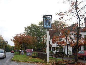 The Old Vine Inn Wadhurst Exterior photo